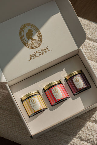 THE TRAVELER COLLECTION