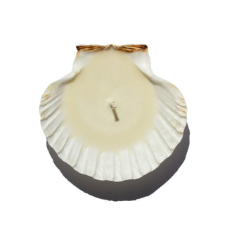 Sanctuaire-bum-cake-candle-seashell