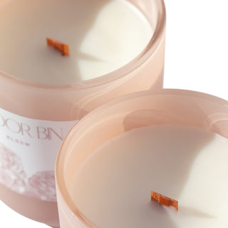 sanctuaire-ardor-bin-luxury-candles